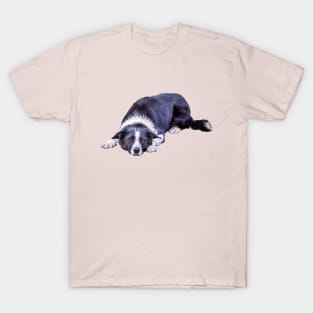 Border Collie Lying Down Playing Fetch T-Shirt